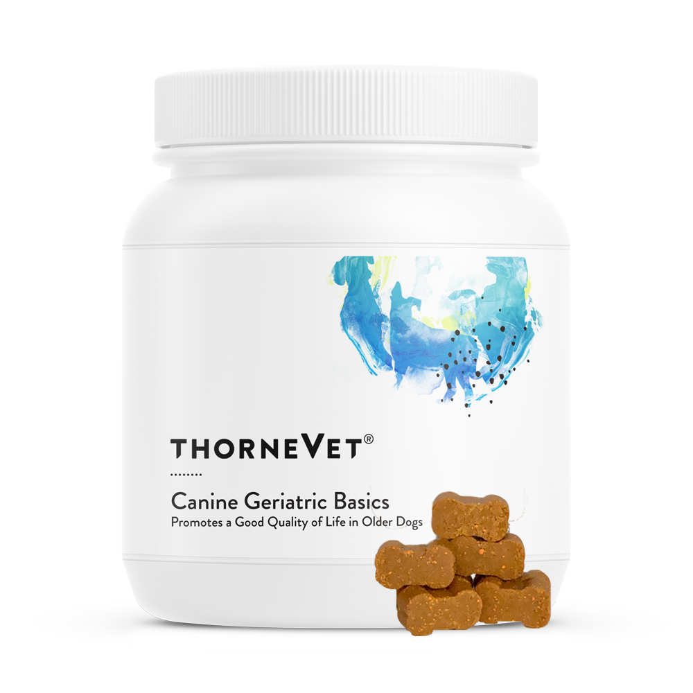 Canine Geriatric Basics Soft Chews