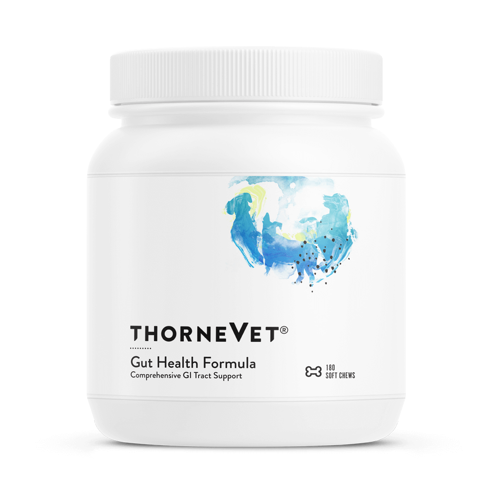 Gut Health Formula Soft Chews