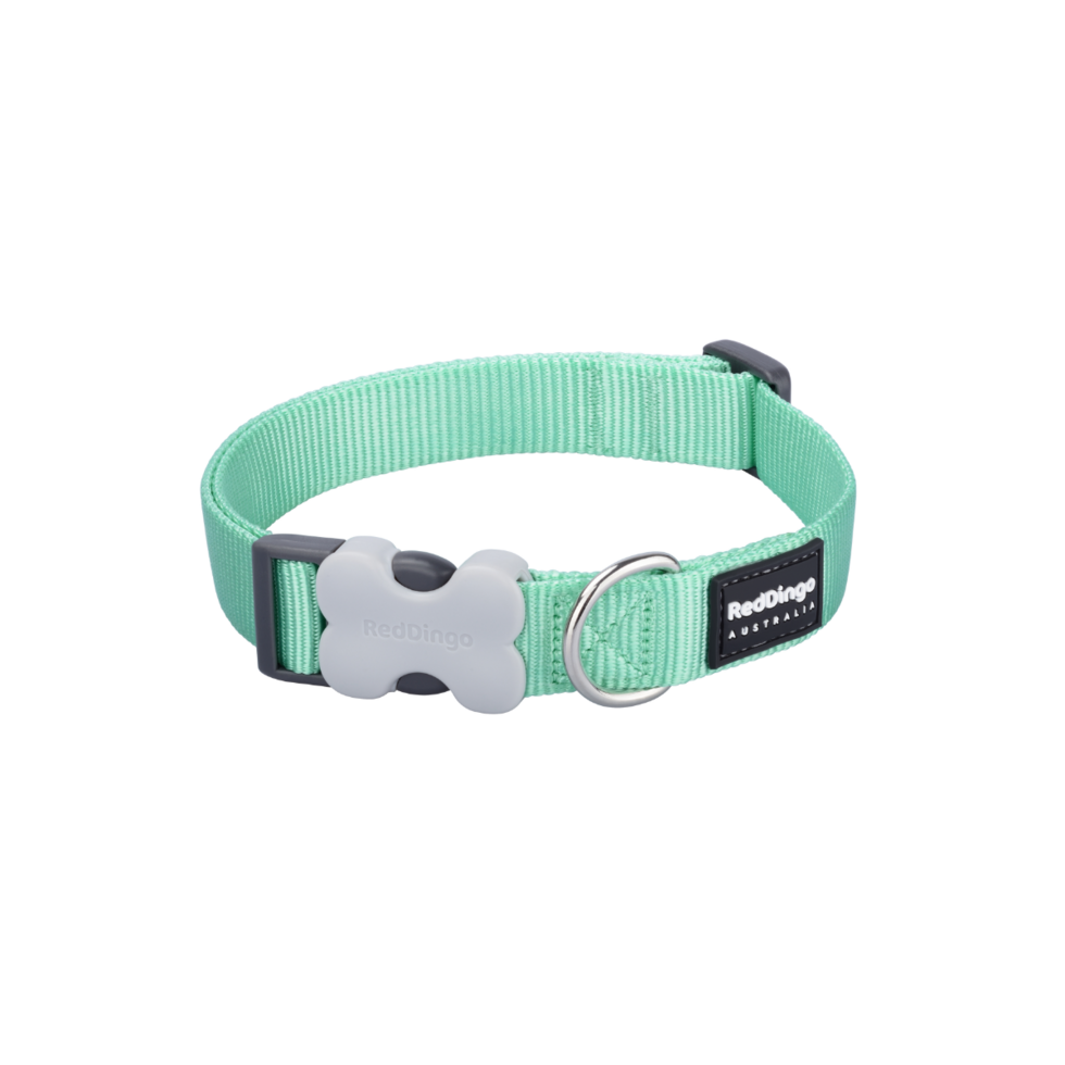 Bucklebone Pastel Green collar Large 25mm (.98 inches)
